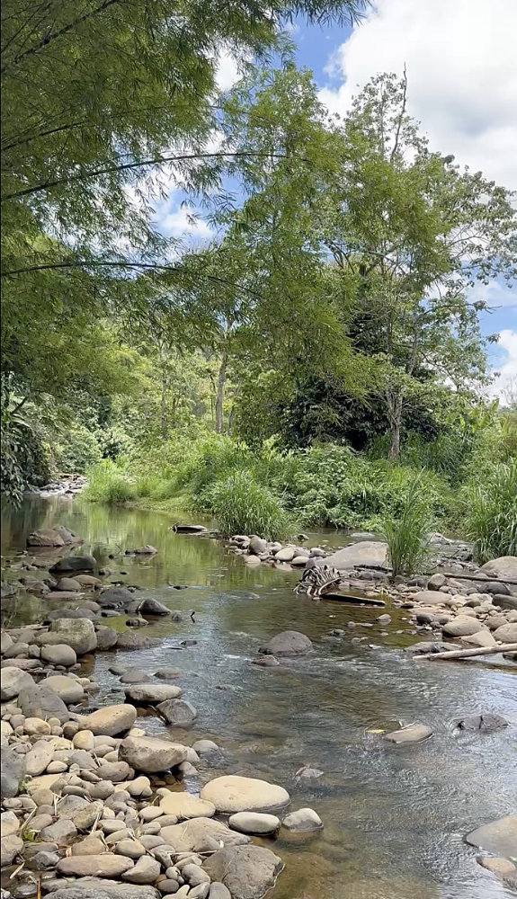 Stream